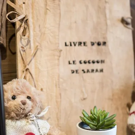 Appartement Le Cocoon De Sarah