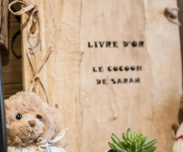 Appartement Le Cocoon De Sarah
